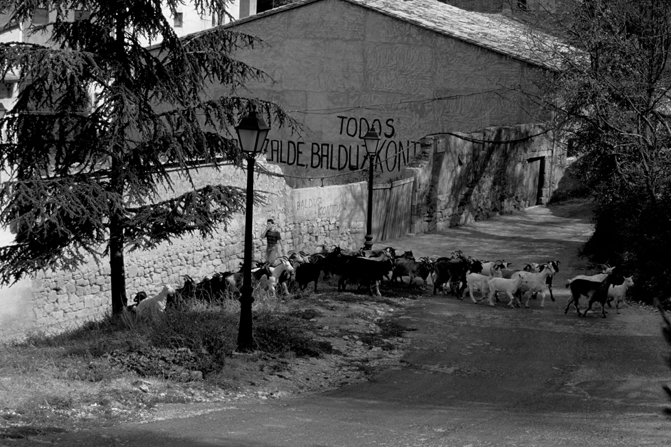 CAMINO 1988 In Estella Ziegenherde
