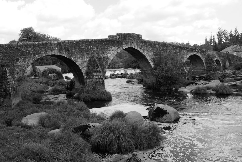 DSC_8068 Puente Maceira sw
